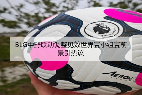BLG中野联动调整见效世界赛小组赛前景引热议