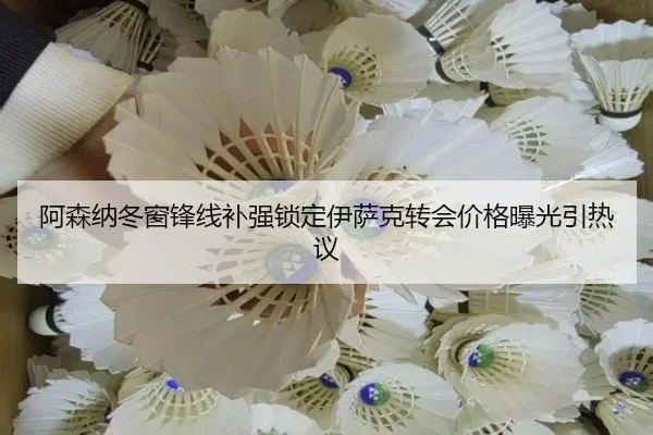 阿森纳冬窗锋线补强锁定伊萨克转会价格曝光引热议